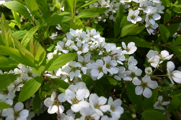 120406 9 RIMG2588.jpg